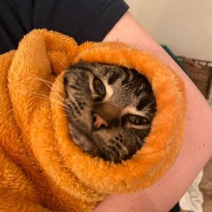 Meet your Posher, Blanca